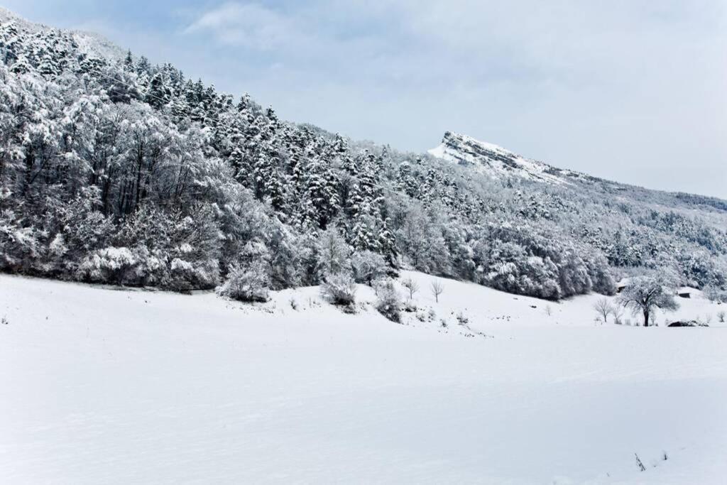 Appartement Nature Thônes Dış mekan fotoğraf